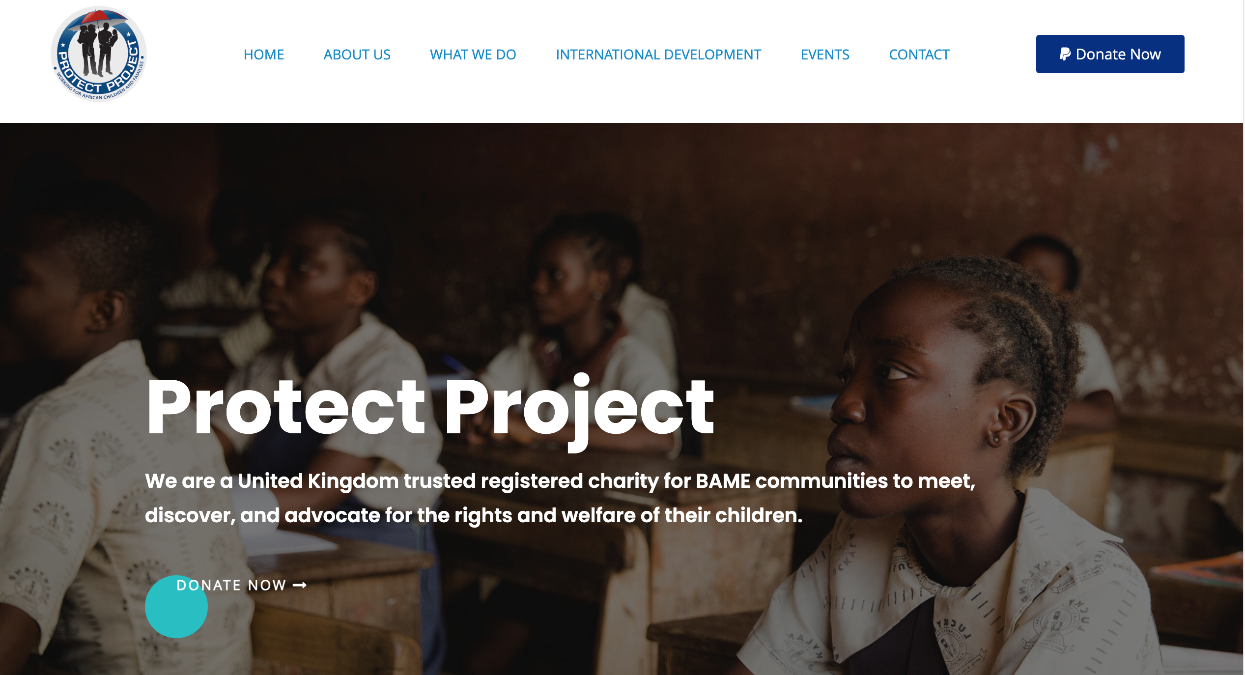 Protect Project website homepage screenshot